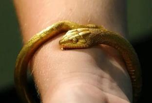 拉美西斯二世蛇形手镯送给了谁?如今的手镯位于何处__拉美西斯二世蛇形手镯送给了谁?如今的手镯位于何处