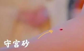 守宫砂原理是啥__守宫砂到底是真的吗