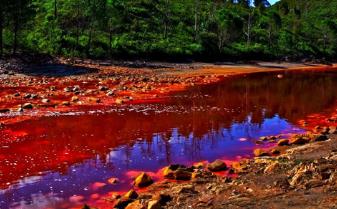 有毒的放射性污染__放射性毒物是什么