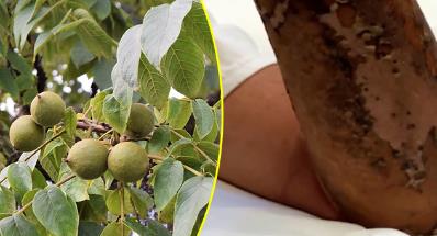 男主浑身是毒碰谁谁死__在毒上买的鞋鞋盒是坏的