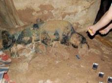 被部队封锁的神秘事件，南充僵尸不被承认/强拆北顶娘娘庙惹神灵_被部队封锁的神秘事件，南充僵尸不被承认/强拆北顶娘娘庙惹神灵_