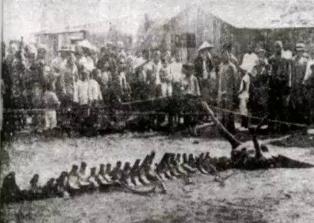 _被部队封锁的神秘事件，南充僵尸不被承认/强拆北顶娘娘庙惹神灵_被部队封锁的神秘事件，南充僵尸不被承认/强拆北顶娘娘庙惹神灵