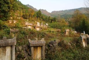 _学校是乱葬岗这是真的吗_学校建在乱葬岗为什么