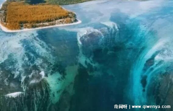 _深海巨型恐怖生物_深海最恐怖的怪物