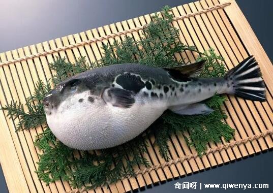 秒懂百科致命的危机__萌萌哒简笔画大全可爱动物