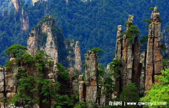 黄山和张家界哪个更值得去，黄山(天下第一奇山名不虚传)__黄山和张家界哪个更值得去，黄山(天下第一奇山名不虚传)