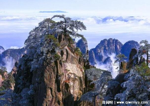 _黄山和张家界哪个更值得去，黄山(天下第一奇山名不虚传)_黄山和张家界哪个更值得去，黄山(天下第一奇山名不虚传)