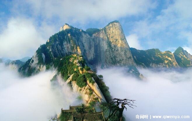 五岳是指哪五座山?泰山/华山/衡山/恒山/嵩山(五岳归来不看山)__五岳是指哪五座山?泰山/华山/衡山/恒山/嵩山(五岳归来不看山)