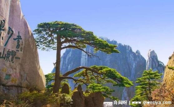 黄山泰山都有的景点__黄山泰山哪个美