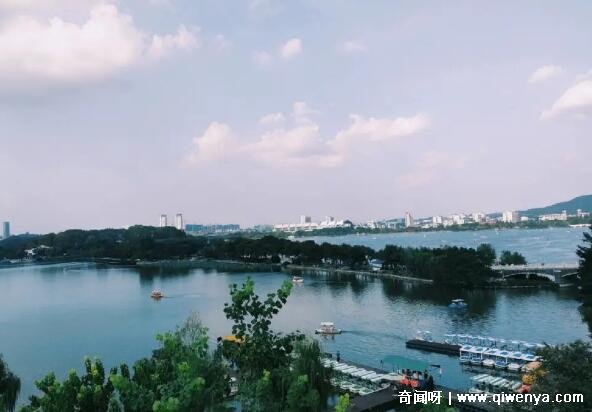 南京中山陵有什么动物__南京中山陵风景