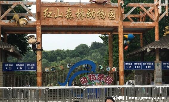 _南京中山陵风景_南京中山陵有什么动物