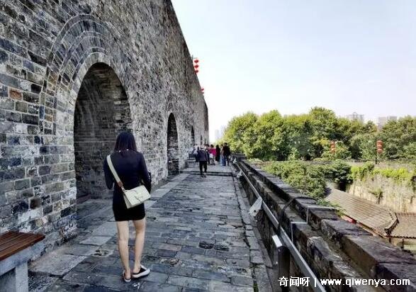 南京中山陵风景__南京中山陵有什么动物