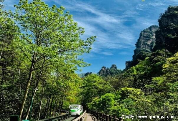 去张家界旅游报团__张家界旅游攻略报团