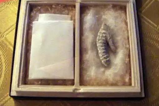 为什么要割拿破仑的命根子