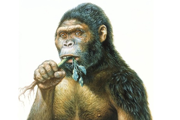 世界上第一个死亡的人是谁?还真的有科学家给出了答案