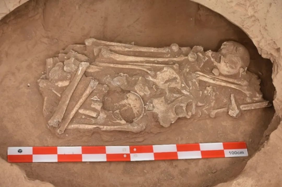 陕西西咸新区北城村墓地：迄今为止发现的十六国北朝隋唐时期规模最大的一处独立墓地