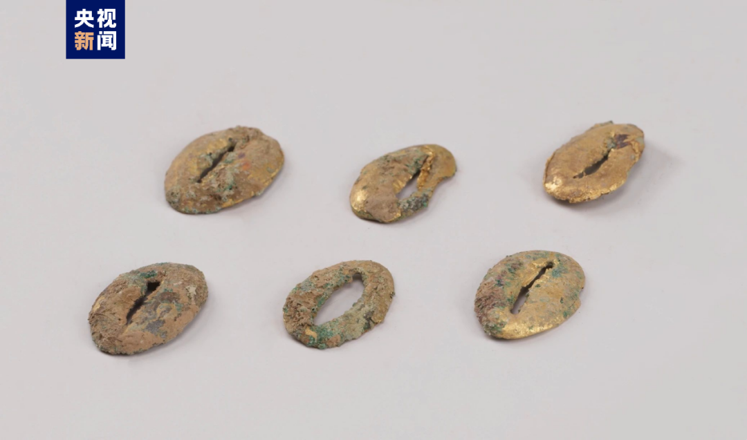 山西襄汾陶寺北墓地一墓葬发掘资料公布 为研究两周时期封国关系提供重要依据