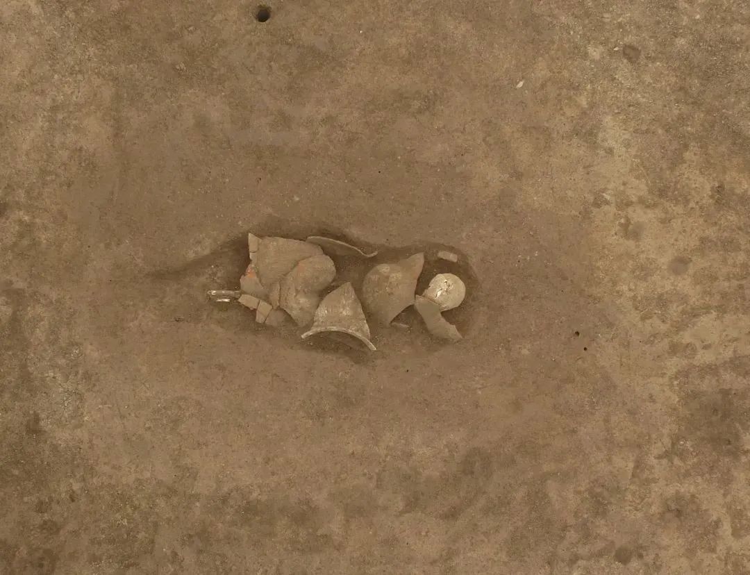 陕西丰京大原村制陶作坊遗址2023年度发掘收获