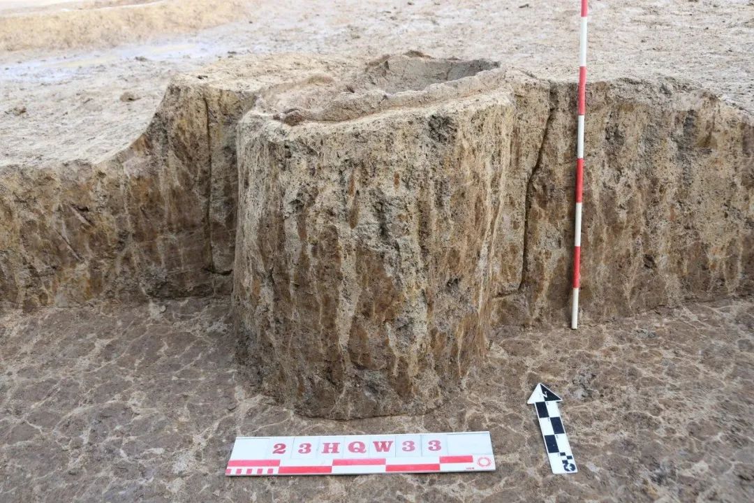 七星墩遗址2023年度考古发掘收获与意义