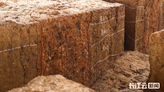 5100年前的史前水坝在湖北面世