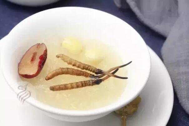虫草水的功效__虫草冲水有什么功效
