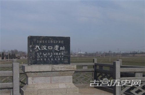 _大汶口文化圈_大汶口文化分期