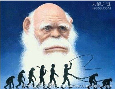 进化的红皇后_进化的红皇后假说_