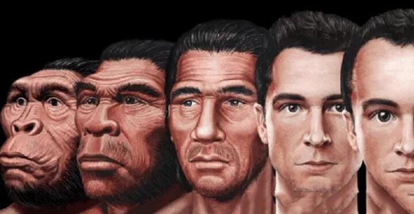 _人类长智齿是进化还是退化_进化完全的人类不长智齿