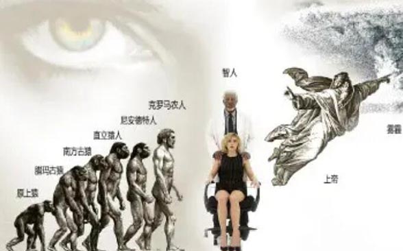 _进化完全的人类不长智齿_人类长智齿是进化还是退化