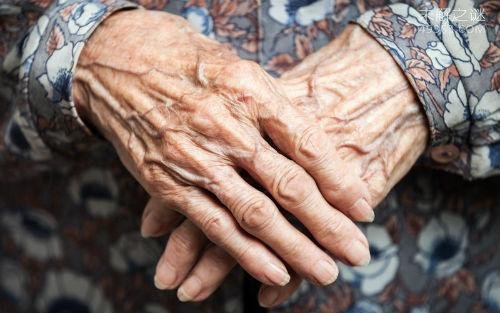 黄桥到刁家网有多远_科学揭秘人类_