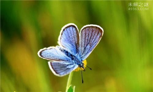 可信的地球人类起源