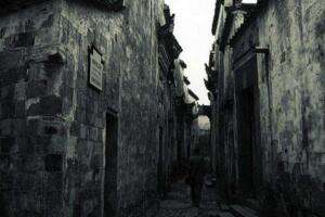 扬州螺丝结顶和无灯巷是真的吗_扬州螺丝结顶巷辟谣_