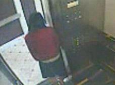 蓝可儿全部电梯事件_蓝可儿电梯分析_