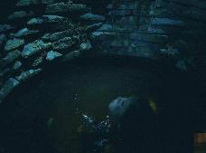 珍妃井恐怖事件，井底冤魂不散吓死老太监_珍妃井恐怖事件，井底冤魂不散吓死老太监_