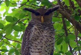 爆裂都市前奏吉他谱_厉害了我的哥前奏什么曲_