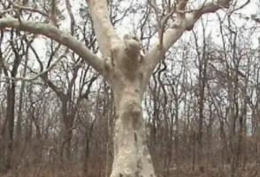 _通往地狱的门在哪里_通往地狱的桥