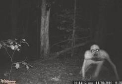 _地狱爬出来的魔鬼_从地狱爬出来的魔物