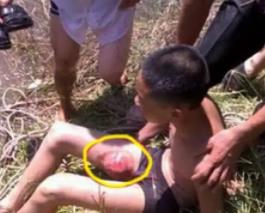 猴子害人_猴子king_