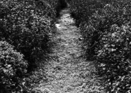 法国都市传说：圣米歇尔堡的亡灵之路__法国都市传说：圣米歇尔堡的亡灵之路