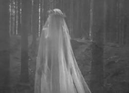 被辜负的新婚妻子：在桥下大哭的鬼新娘（美国灵异事件）_被辜负的新婚妻子：在桥下大哭的鬼新娘（美国灵异事件）_