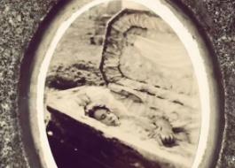 芝加哥不腐女尸的都市传说：新娘朱莉娅__芝加哥不腐女尸的都市传说：新娘朱莉娅