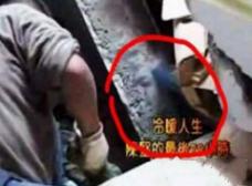 汶川灵异23件事_汶川灵异事件绝密档案视频_