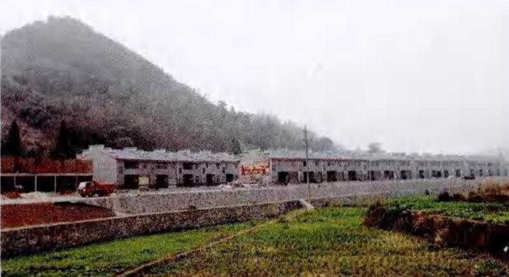 粟裕手下三陈_粟裕手下陈_