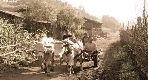 努尔哈赤11世孙亲述皇室美好生活：一出生只喝纯净水，衣食无忧__努尔哈赤11世孙亲述皇室美好生活：一出生只喝纯净水，衣食无忧