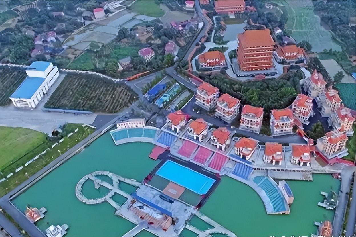 _胎位臂位晚上怎么睡觉_校长拿学生十多万伙食费养情妇