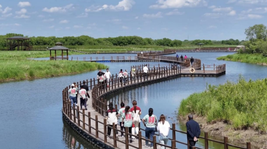 中俄的领土纠纷__中俄就领土问题