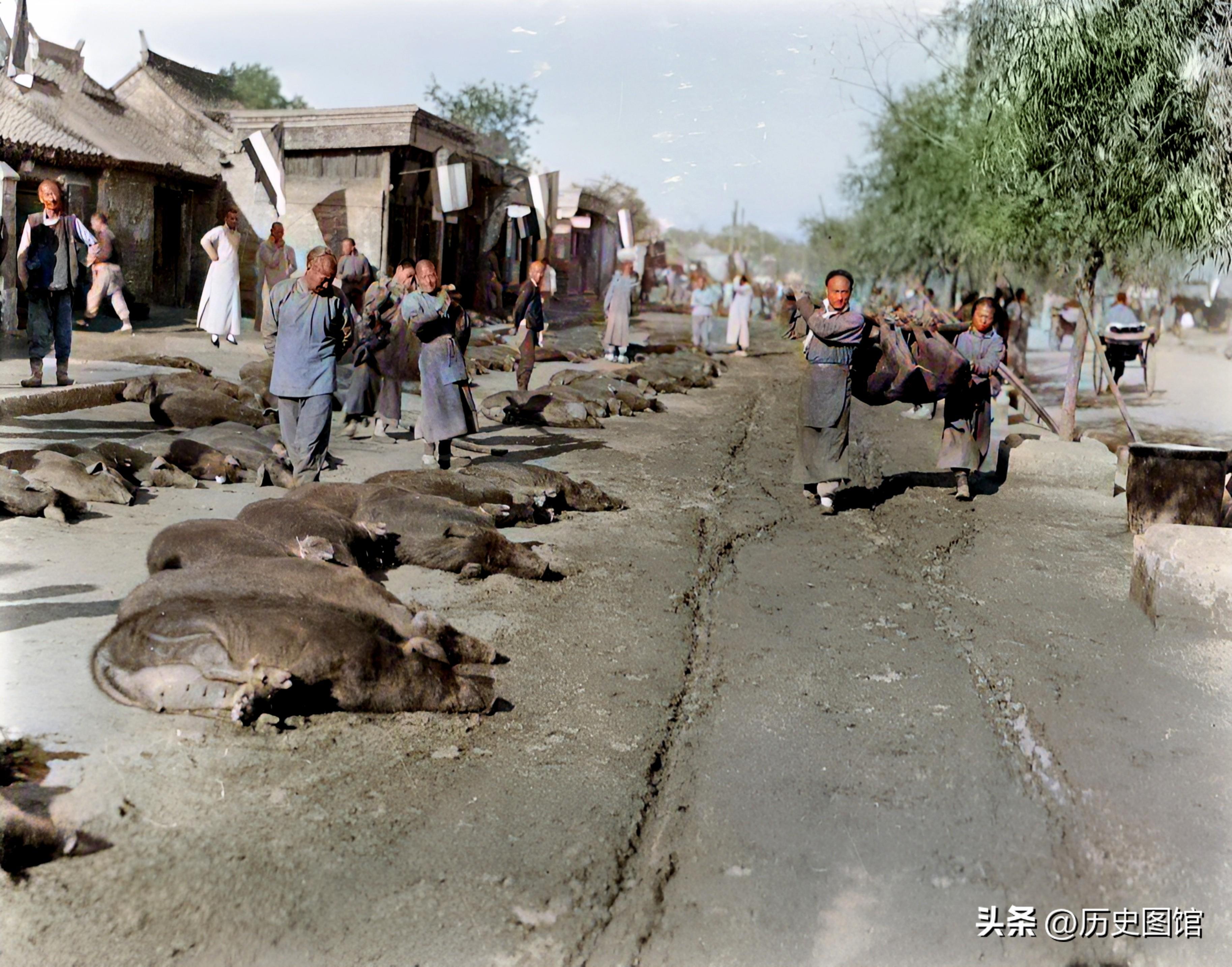 _外国摄影家_外国摄影师拍摄的中国