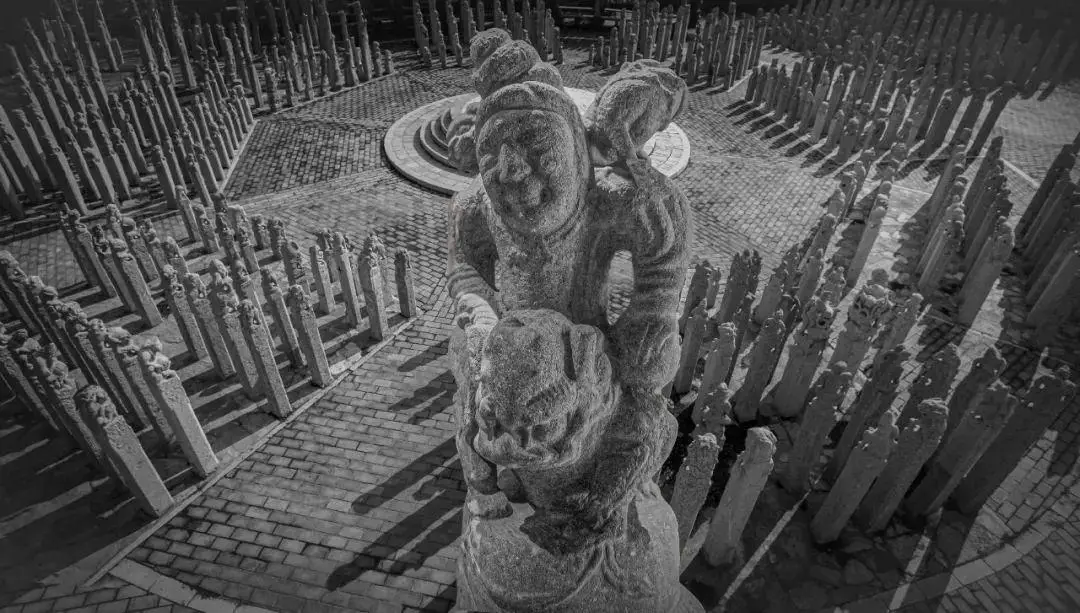 讲究石柱子可以种什么_讲究石柱子可以做什么_