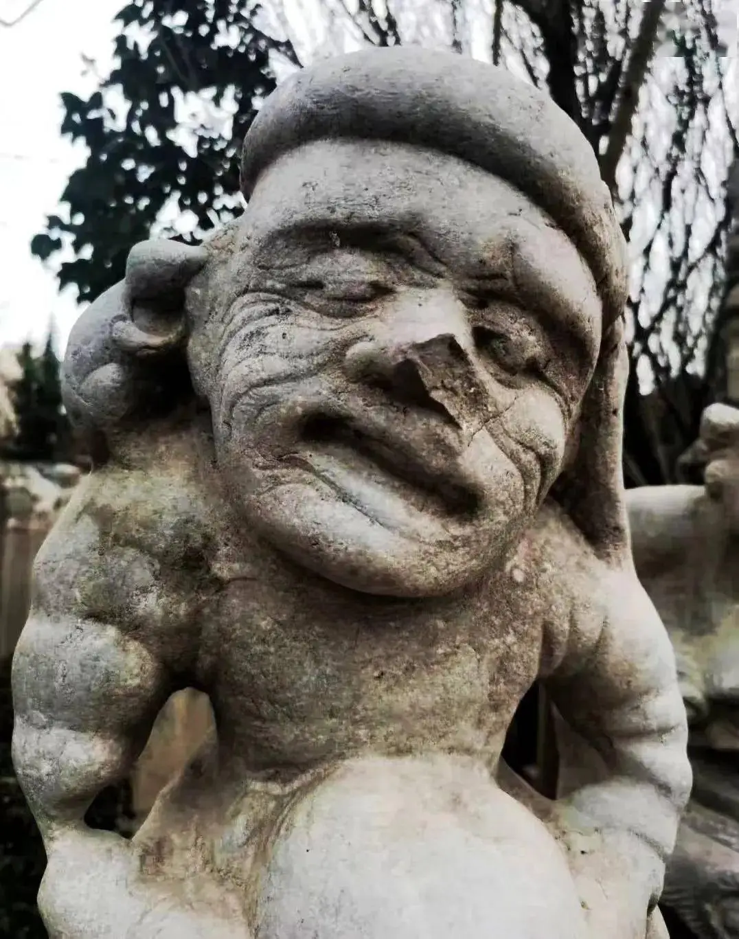 讲究石柱子可以种什么__讲究石柱子可以做什么