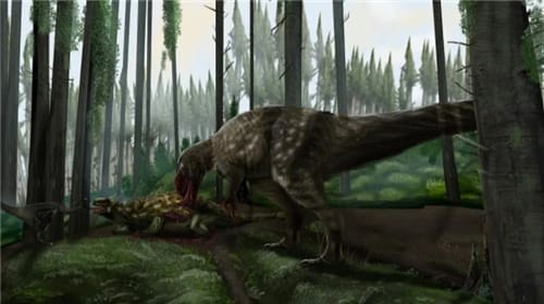 渤海舞龙是什么